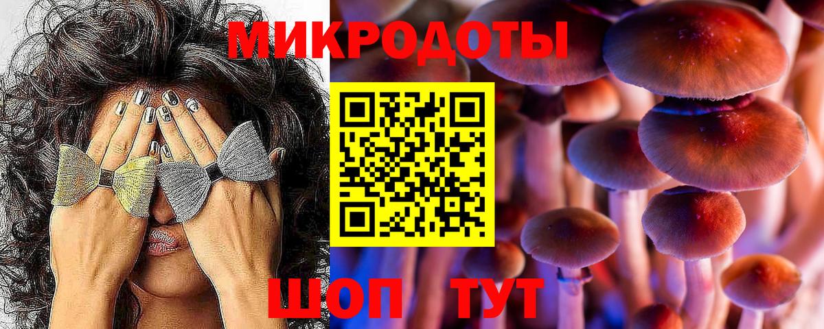 Елец  Псилоцибиновые грибы прущие грибы  Вход с VPN 