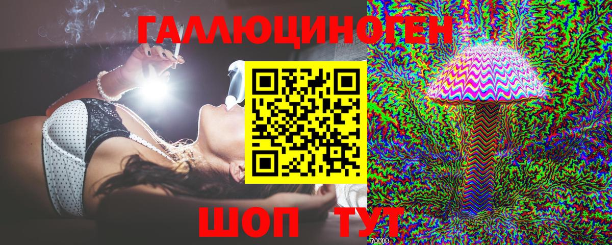 Галлюциногенные грибы Cubensis Елец